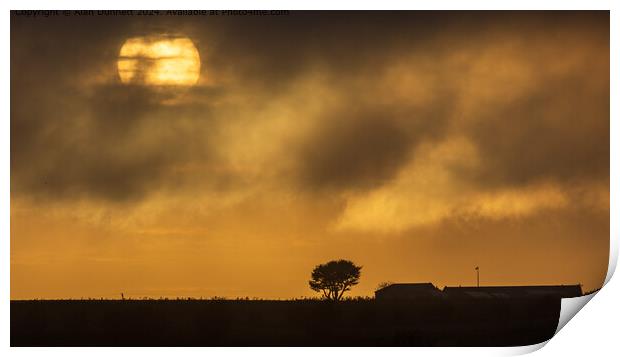 Golden Sunlight Farm Sunset Print by Alan Dunnett