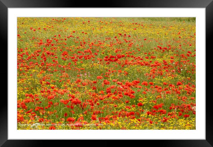 Poppies Meadow Cotswolds Landscape Framed Mounted Print by Simon Johnson