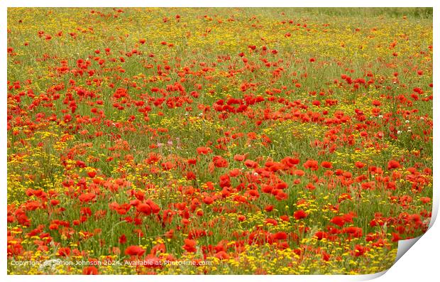 Poppies Meadow Cotswolds Landscape Print by Simon Johnson