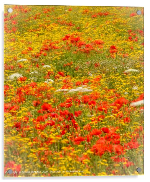 Poppies Meadow Landscape Acrylic by Simon Johnson