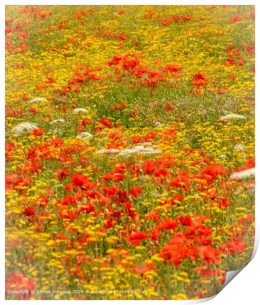 Poppies Meadow Landscape Print by Simon Johnson