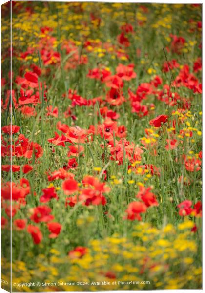 Cotswold  Poppy Meadow Landscape Canvas Print by Simon Johnson