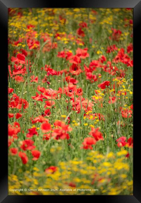 Cotswold  Poppy Meadow Landscape Framed Print by Simon Johnson