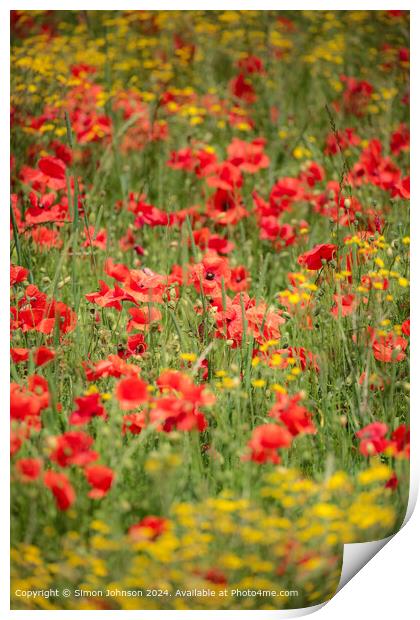Cotswold  Poppy Meadow Landscape Print by Simon Johnson