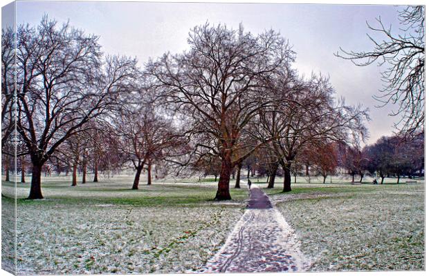 Snowy Primrose Hill Trees Canvas Print by Andy Evans Photos
