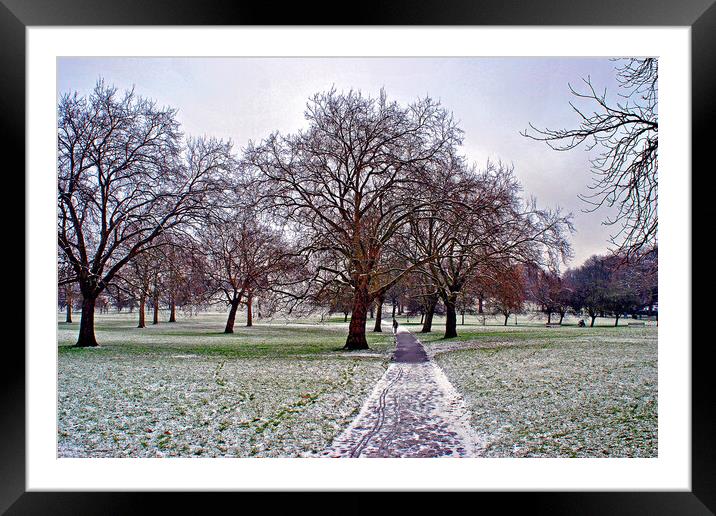 Snowy Primrose Hill Trees Framed Mounted Print by Andy Evans Photos