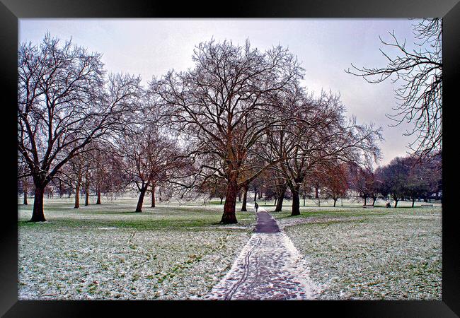 Snowy Primrose Hill Trees Framed Print by Andy Evans Photos