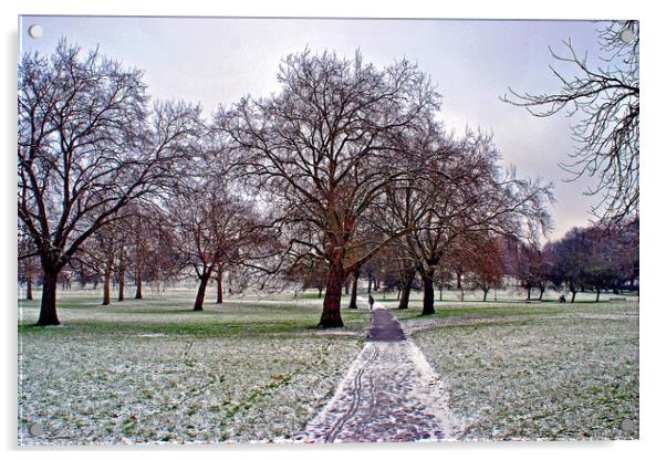 Snowy Primrose Hill Trees Acrylic by Andy Evans Photos