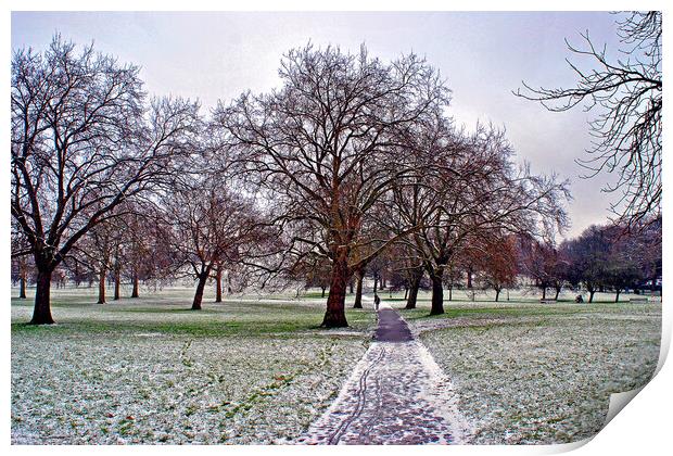 Snowy Primrose Hill Trees Print by Andy Evans Photos