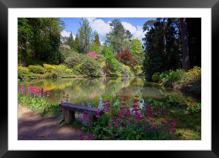 Leonardslee Lakes and Gardens in Horsham Sussex UK Framed Mounted Print by John Gilham