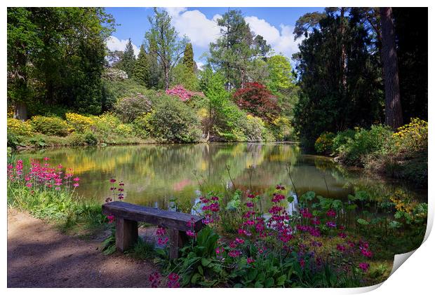 Leonardslee Lakes and Gardens in Horsham Sussex UK Print by John Gilham