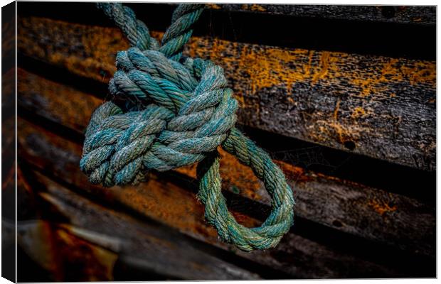 Knotted  Canvas Print by Alan Sinclair