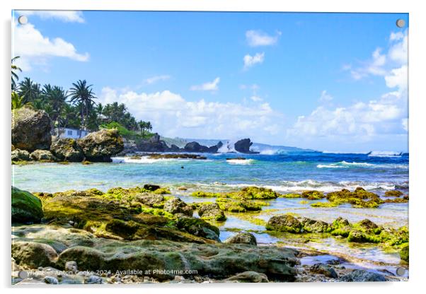 Martins Bay Barbados Coastal Landscape Acrylic by Anton Cooke