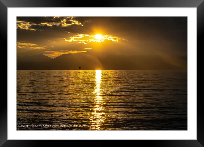 Garda Lake Sunset Framed Mounted Print by Tanya Ortelli
