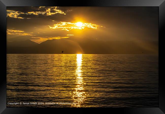 Garda Lake Sunset Framed Print by Tanya Ortelli