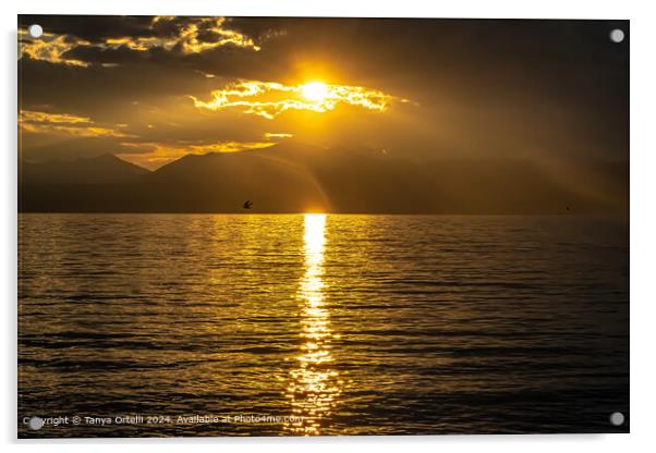 Garda Lake Sunset Acrylic by Tanya Ortelli