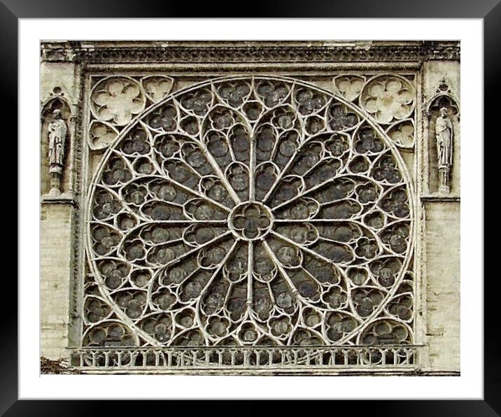 Notre Dame Rose Window Architecture Framed Mounted Print by Steve Painter