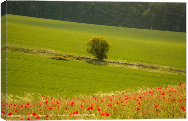 Sunlit Tree and Poppies in Cotswolds Canvas Print by Simon Johnson
