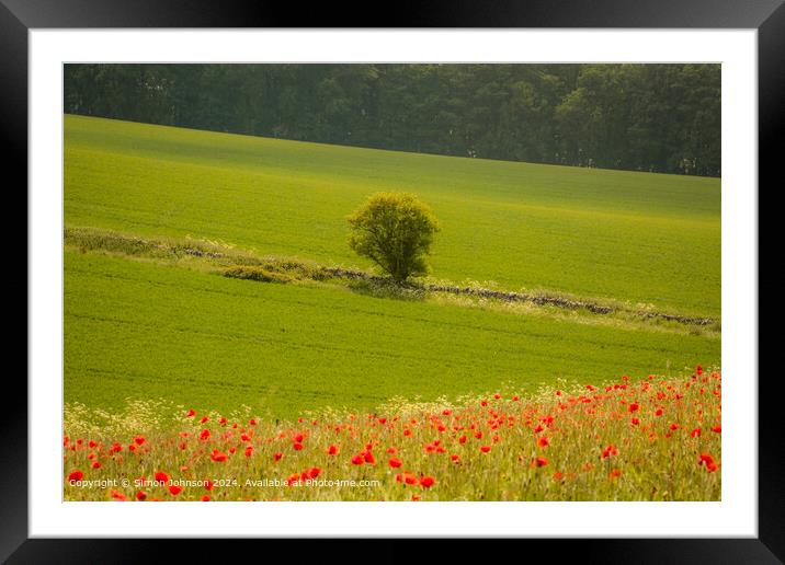 Sunlit Tree and Poppies in Cotswolds Framed Mounted Print by Simon Johnson
