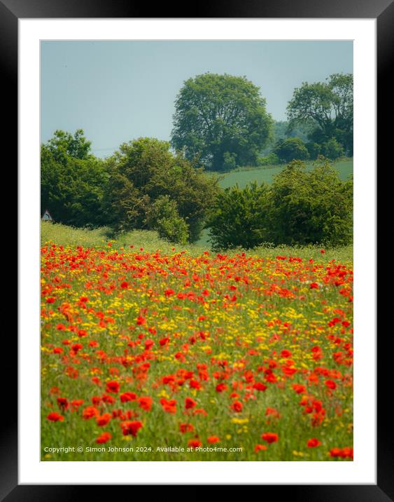 Cotswolds Wildflower Meadow Framed Mounted Print by Simon Johnson