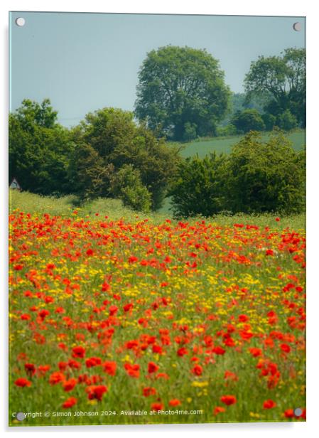 Cotswolds Wildflower Meadow Acrylic by Simon Johnson