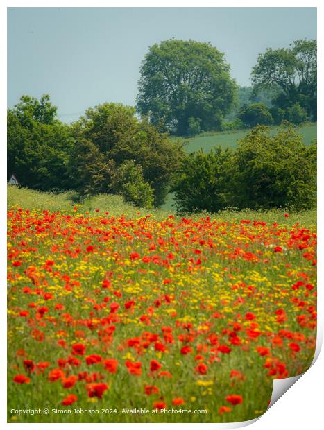Cotswolds Wildflower Meadow Print by Simon Johnson