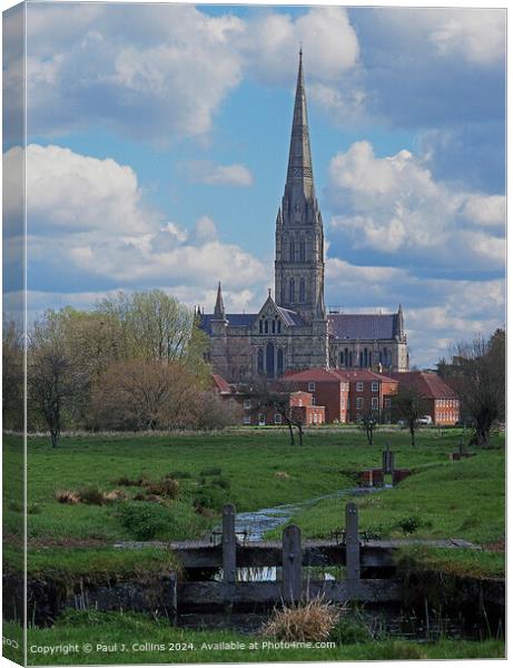 Salisbury Cathedral from the Water Meadows Canvas Print by Paul J. Collins