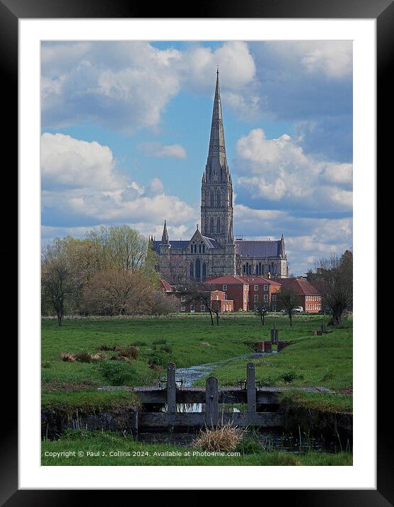 Salisbury Cathedral from the Water Meadows Framed Mounted Print by Paul J. Collins