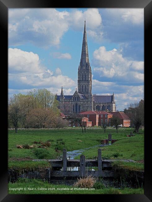 Salisbury Cathedral from the Water Meadows Framed Print by Paul J. Collins