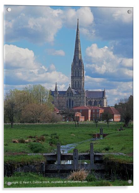 Salisbury Cathedral from the Water Meadows Acrylic by Paul J. Collins