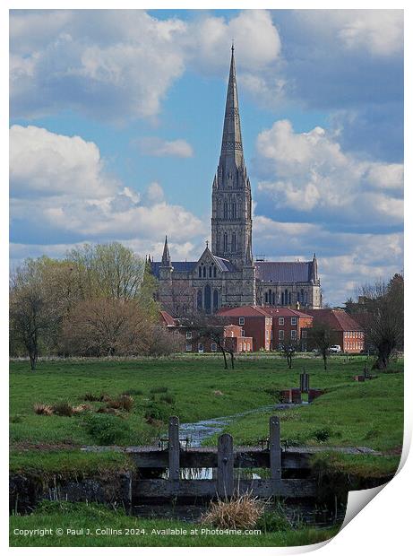 Salisbury Cathedral from the Water Meadows Print by Paul J. Collins