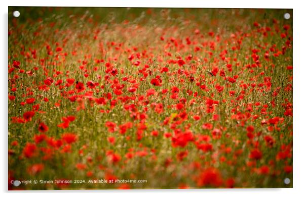 Sunlit Poppy Field Cotswolds Acrylic by Simon Johnson