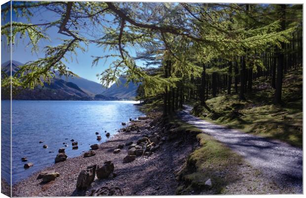 Buttermere Shoreline  Canvas Print by Kate Lake