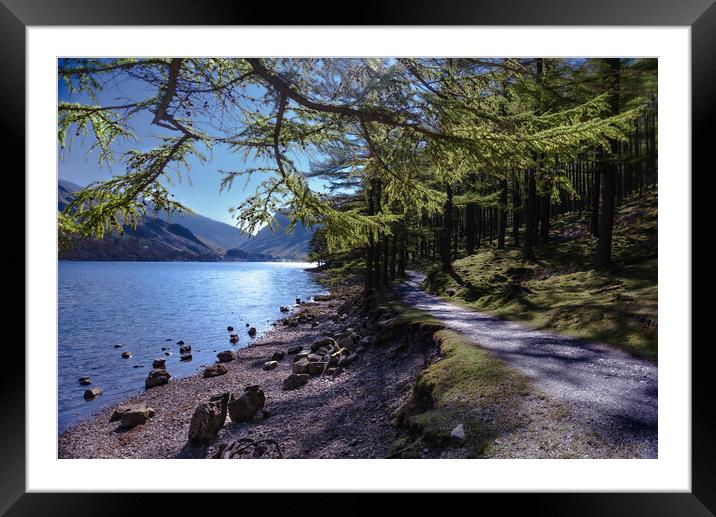 Buttermere Shoreline  Framed Mounted Print by Kate Lake