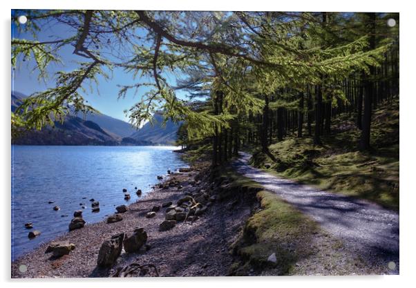 Buttermere Shoreline  Acrylic by Kate Lake