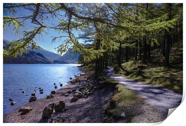 Buttermere Shoreline  Print by Kate Lake