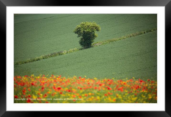 Sunlit Poppies Cotswolds Landscape Framed Mounted Print by Simon Johnson