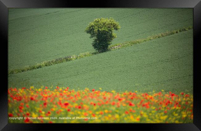 Sunlit Poppies Cotswolds Landscape Framed Print by Simon Johnson