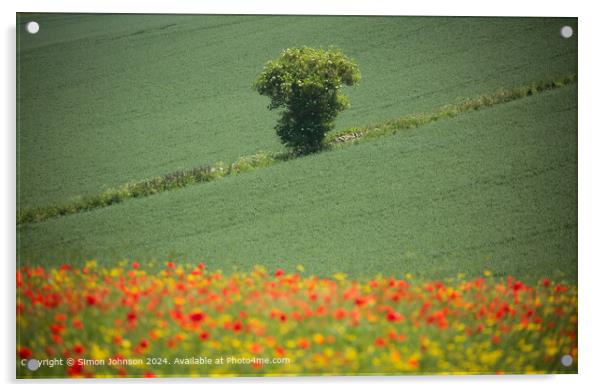 Sunlit Poppies Cotswolds Landscape Acrylic by Simon Johnson