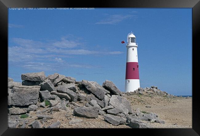 Portland Bill Lighthouse  Framed Print by Paul J. Collins