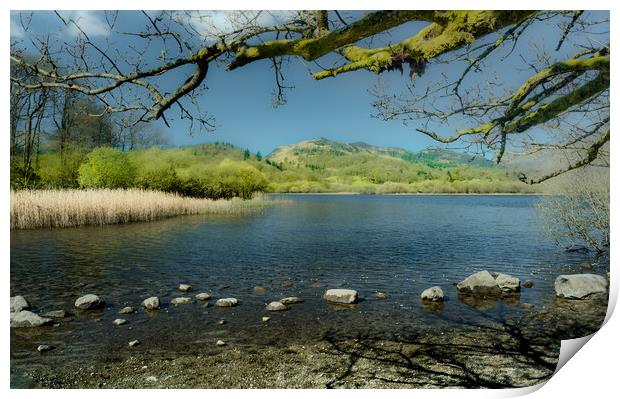 Stepping Stones @ Elterwater Lake Print by Kate Lake