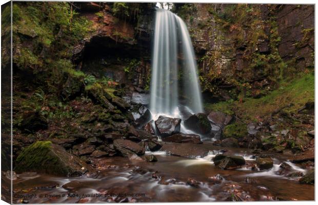 Melincourt Waterfall Landscape Canvas Print by Davies P