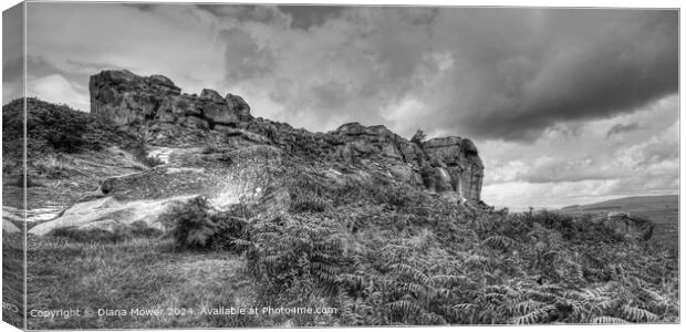 The Cow and Calf  Rocks Ilkley Moor Canvas Print by Diana Mower