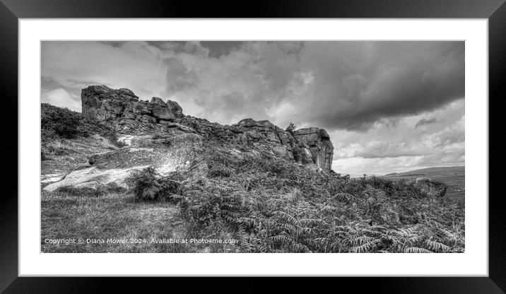 The Cow and Calf  Rocks Ilkley Moor Framed Mounted Print by Diana Mower