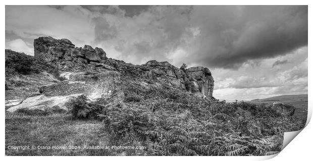 The Cow and Calf  Rocks Ilkley Moor Print by Diana Mower