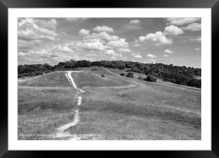 Bow Hill Bronze Age Barrows Framed Mounted Print by Diana Mower