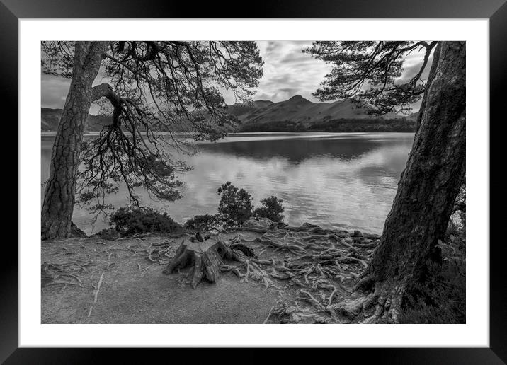 Friars Crag Derwent Water  Framed Mounted Print by Derek Beattie