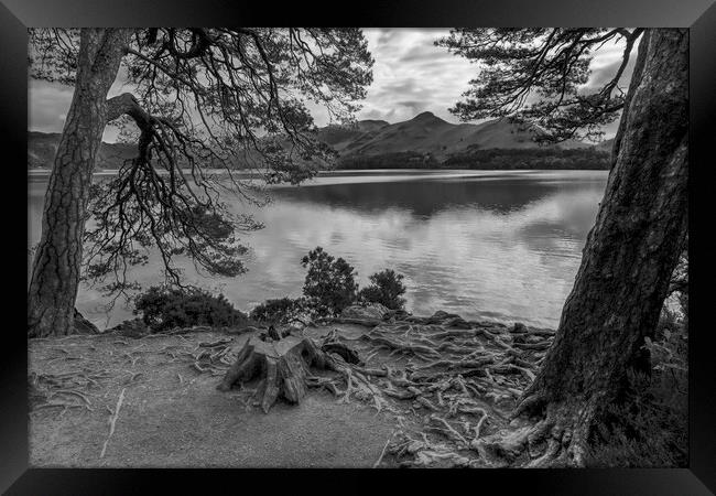 Friars Crag Derwent Water  Framed Print by Derek Beattie