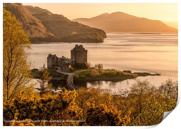 Eilean Donan Castle Print by Northern Wild