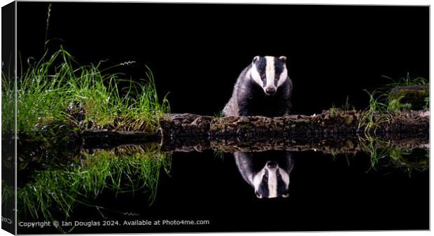 Nocturnal Badger Reflection Canvas Print by Ian Douglas
